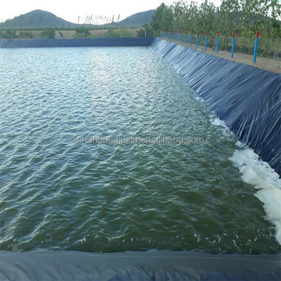 Géomembrane Hdpe 0,5 mm 0,75 mm 1 mm 1,5 mm pour les étangs agricoles