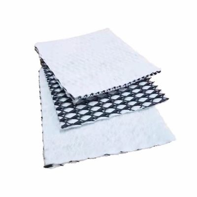 Total Solutions du projet 5 mm épaisseur composite drainage géonet avec géotextile longueur 30m