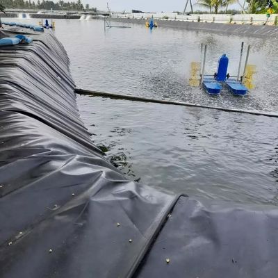 0.5 mm Géomembrane en HDPE noir pour l'élevage de poissons Durable et écologique