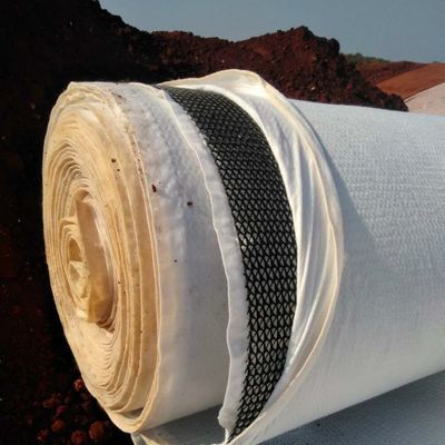 Fonction de drainage de l'eau 6 mm épaisseur de drainage en plastique géonet au milieu de géonet composite