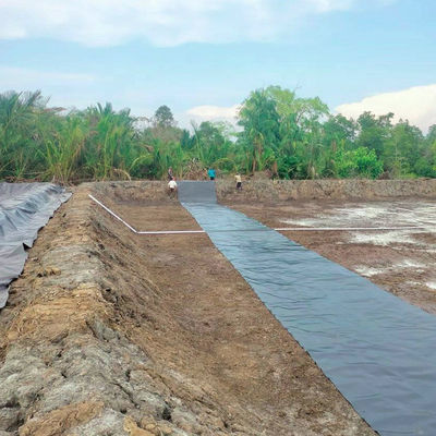 HDPE géomembrane géomembrane barrage de la ferme piscicole réservoir étang liner avec 0,2 mm-3 mm d'épaisseur