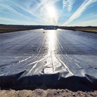 0.5mm HDPE géomembrane pour l'élevage de crevettes de poisson en noir blanc bleu vert personnalisé