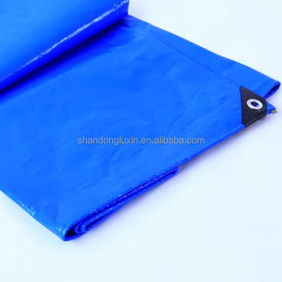 Tissus en tissu plain EN Tissus lourds imperméables à l'eau 220g Bleus sans limite rouleaux tissés