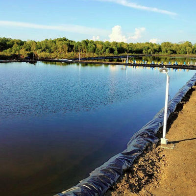 0.3 mm-3.0 mm Épaisseur géomembrane en PEHD pour barrage Liner réservoir d'exploitation minière crevette étang