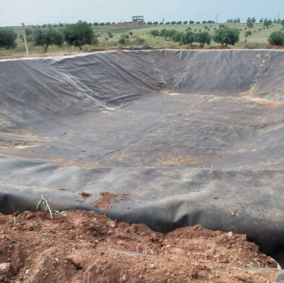Piscine double douce en PEHD Liner de l' étang 1 mm 2 mm Geomembrane feuille en plastique imperméable