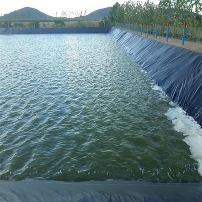 1 mm de feuille de géomembrane en PEHD pour étagère d'élevage de poissons
