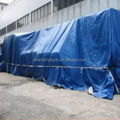 Tardine en plastique HDPE abordable et durable Densité par mètre 6*6-16*16 50-300 gm