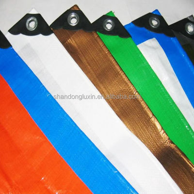 Autres tissus Tarpaulin régulier et lourd couvercle imperméable Tarpable feuille de sol Multi Tailles 50-300gm