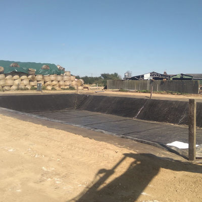 Géomembrane HDPE lisse pour étang Liner Fish Farm Fabriquée à 100% de matériau vierge