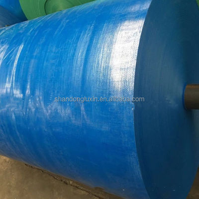 20x30 30x50 40x60 Plastique lourd en PE Étarpe de bâche étarpe imperméable tissée sur mesure