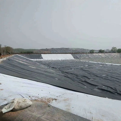 Design industriel de type géomembrane HDPE largeur de 1m à 8m pour matériaux de revêtement d'étang de décharge