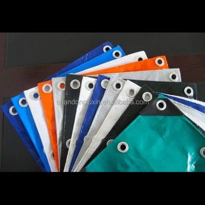 LDPE revêtement de bâche couverture 250G pour le camping lourd