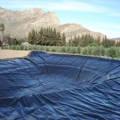 Conception industrielle 0,5 mm HDPE Geoliner lisse pour étang de poisson pour l'aquaculture