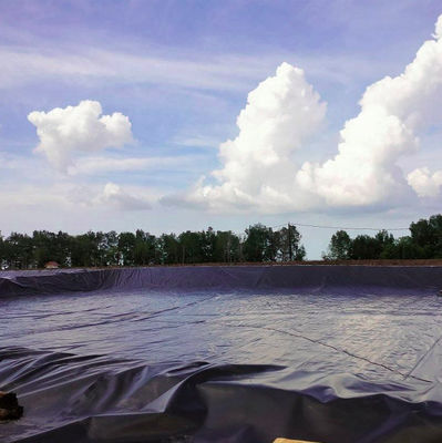 0.5mm Geomembrane pour l'agriculture film étang liner en polyéthylène à haute densité
