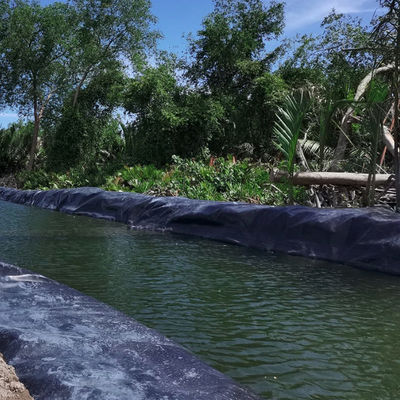 Surface lisse Géomembrane à haute densité d'épaisseur de 1 mm à 3 mm pour le barrage de l'étang et le revêtement de la lagune