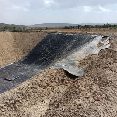 Surface lisse Géomembrane à haute densité d'épaisseur de 1 mm à 3 mm pour le barrage de l'étang et le revêtement de la lagune