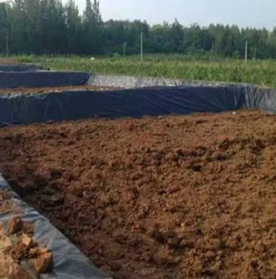 Surface lisse Géomembrane à haute densité d'épaisseur de 1 mm à 3 mm pour le barrage de l'étang et le revêtement de la lagune