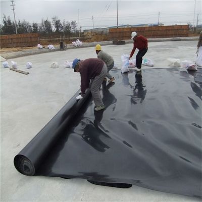 0.5mm 1mm 1.5mm 2mm géomembrane HDPE pour les revêtements d'étang de poisson dans le style de conception industrielle