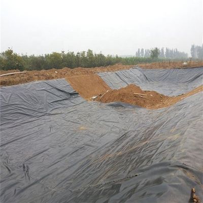 0.5mm 1mm 1.5mm 2mm géomembrane HDPE pour les revêtements d'étang de poisson dans le style de conception industrielle