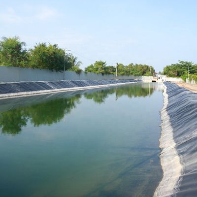 Géomembrane en plastique HDPE à rouleau imperméable à haute densité pour lac artificiel