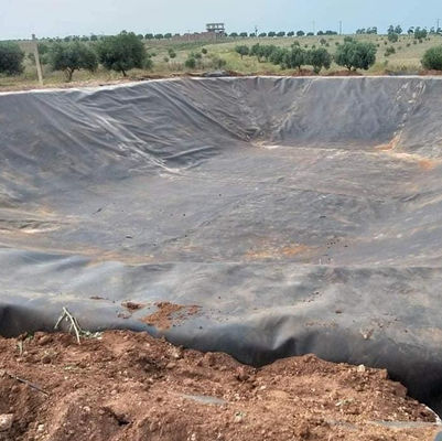 Liner géomembrané pour décharges en HDPE imperméable à l'eau 1 mm 1,5 mm Liner pour barrage d'étang Prix au Kenya