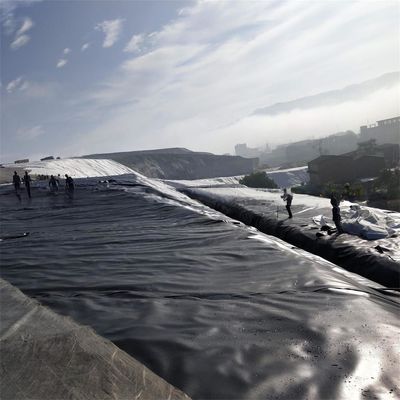 Liner d'étang de poisson à géomembrane pliable en noir ou en couleur personnalisée pour l'élevage de crapauds