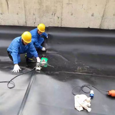Géomembrane en plastique pour aquarium de poissons pour le matériel de revêtement HDPE et l'élevage de homards dans la mine, etc.