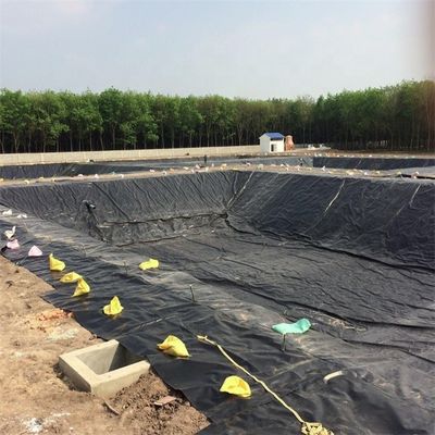 Ferme à poissons étang barrage décharge liner géomembrane HDPE 0,5 mm 0,75 mm 1,0 mm 1,5 mm 2,0 mm 3,0 mm