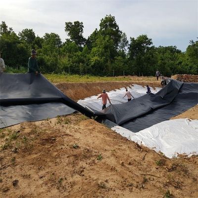 Ferme à poissons étang barrage décharge liner géomembrane HDPE 0,5 mm 0,75 mm 1,0 mm 1,5 mm 2,0 mm 3,0 mm