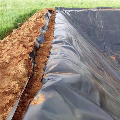 50-100m Longueur HDPE Geomembrane Liner pour les géomembranes d'étang en polyéthylène de densité