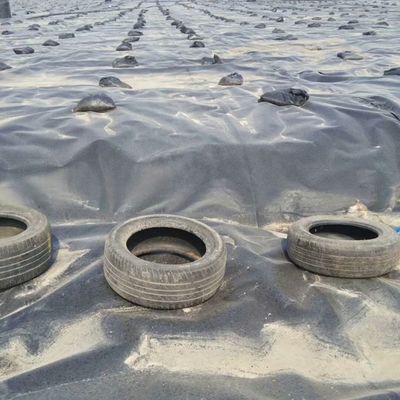 Surface doublée lisse 0,5 mm LDPE LLDPE HDPE géomembrane pour la ligne de barrage de la pêche