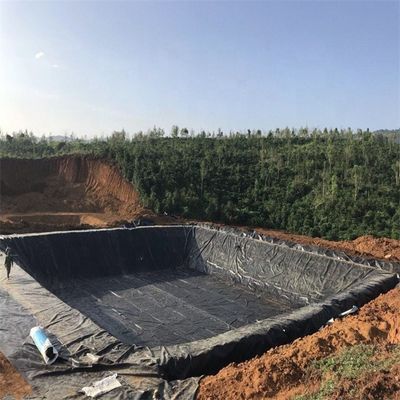 Style de conception industrielle 250 Mic Black Polyethylene Film HDPE feuille de géomembrane pour la construction en Afrique du Sud