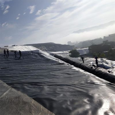 Vente directe Geomembrane lisse en HDPE avec formation sur place et épaisseur de 0,1 mm à 2,5 mm
