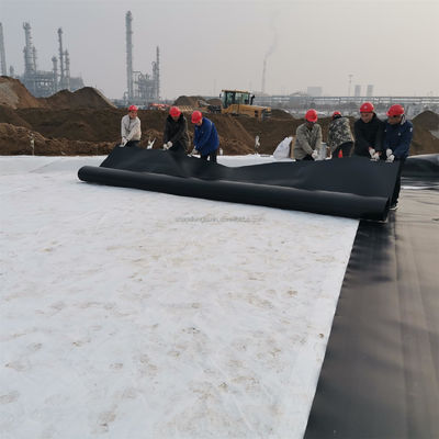 Vente directe Geomembrane lisse en HDPE avec formation sur place et épaisseur de 0,1 mm à 2,5 mm