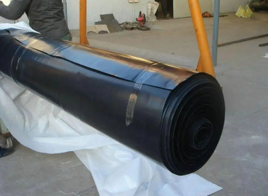 Géomembrane en HDPE à double texture pour réservoir d'élevage de poissons en bâches à double surface lisse