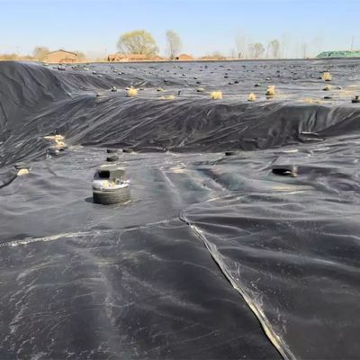 50m-100m longueur géomembrane HDPE pour étang de poisson imperméable à l'eau dans la piscine