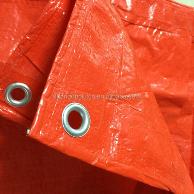 Tissage en PEHD et stratification en PEHD étanches à l'eau Étoffes en plastique automobile pour la protection automobile