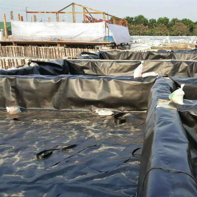 50m-100m longueur géomembrane HDPE pour étang de poisson imperméable à l'eau dans la piscine