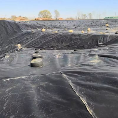 1.0mm Géomembrane 2mm Hdpe Géomembrane 20 Mil Liner d'étang pour les géomembranes 1m-8m largeur