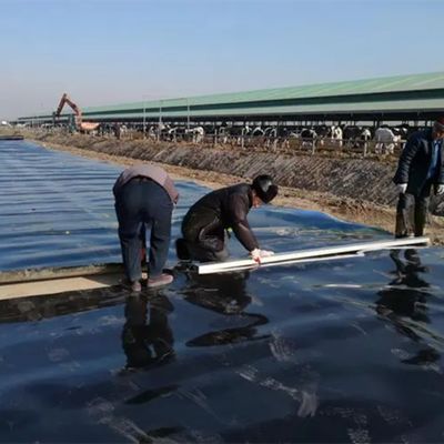 1 mm 2 mm épaisseur HDPE géomembrane étang de poisson revêtement pour l'étanchéité artificielle lac