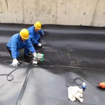 Géomembrane en HDPE à double surface lisse/à double texture pour revêtement d'étang étanche en plastique