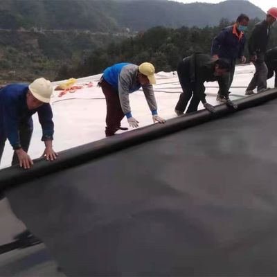 Géomembrane en HDPE à double surface lisse/à double texture pour revêtement d'étang étanche en plastique