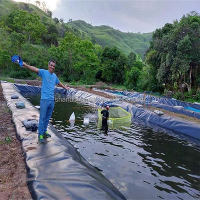 0.75mm HDPE Geoembrane Membrane imperméable à l'eau pour l'aquaculture