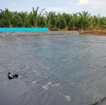 Udg Layfield géomembrane pour le projet de réservoir en Afrique du Sud en surface doublée lisse
