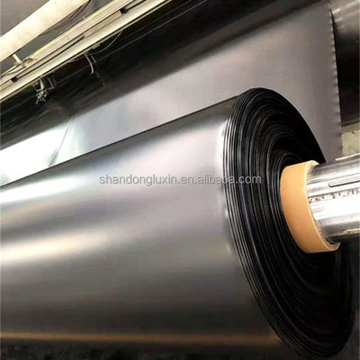 Géomembrane en HDPE à double texture lisse/double texture pour barrage minier réservoir piscine