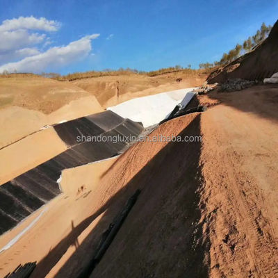 50m-100m longueur Hdpe étanchéité en plastique feuille de géomembrane pour l'aquaculture étang liner
