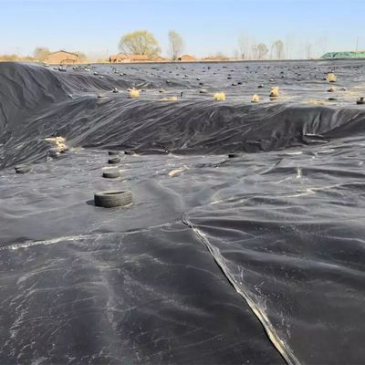 Surface lisse 0,5 mm HDPE feuille de revêtement de géomembrane pour la piscine d'élevage du poisson