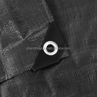 Couverture de camion couverture de fret revêtement LDPE et bâtonnet PE léger pour 100% étanche