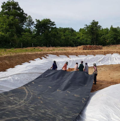 Élevage des poissons au sol Liner Géomembrane Aquaculture Étangs réservoirs pour poissons 50m-100m Longueur