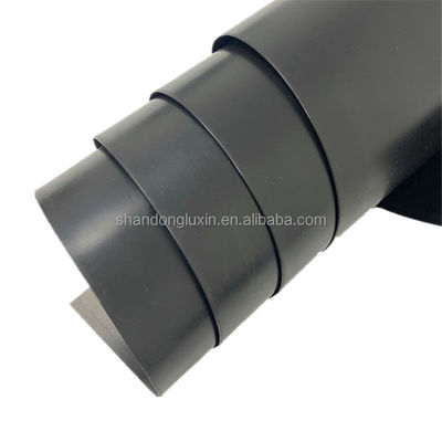 Longueur personnalisée étangs d'élevage de poissons revêtement 1 mm géomembrane HDPE avec surface à double texture